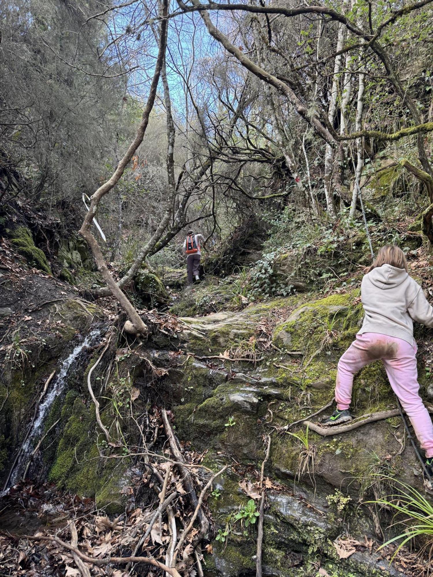 Foresta In Medias Mores Tripoli Ngoại thất bức ảnh