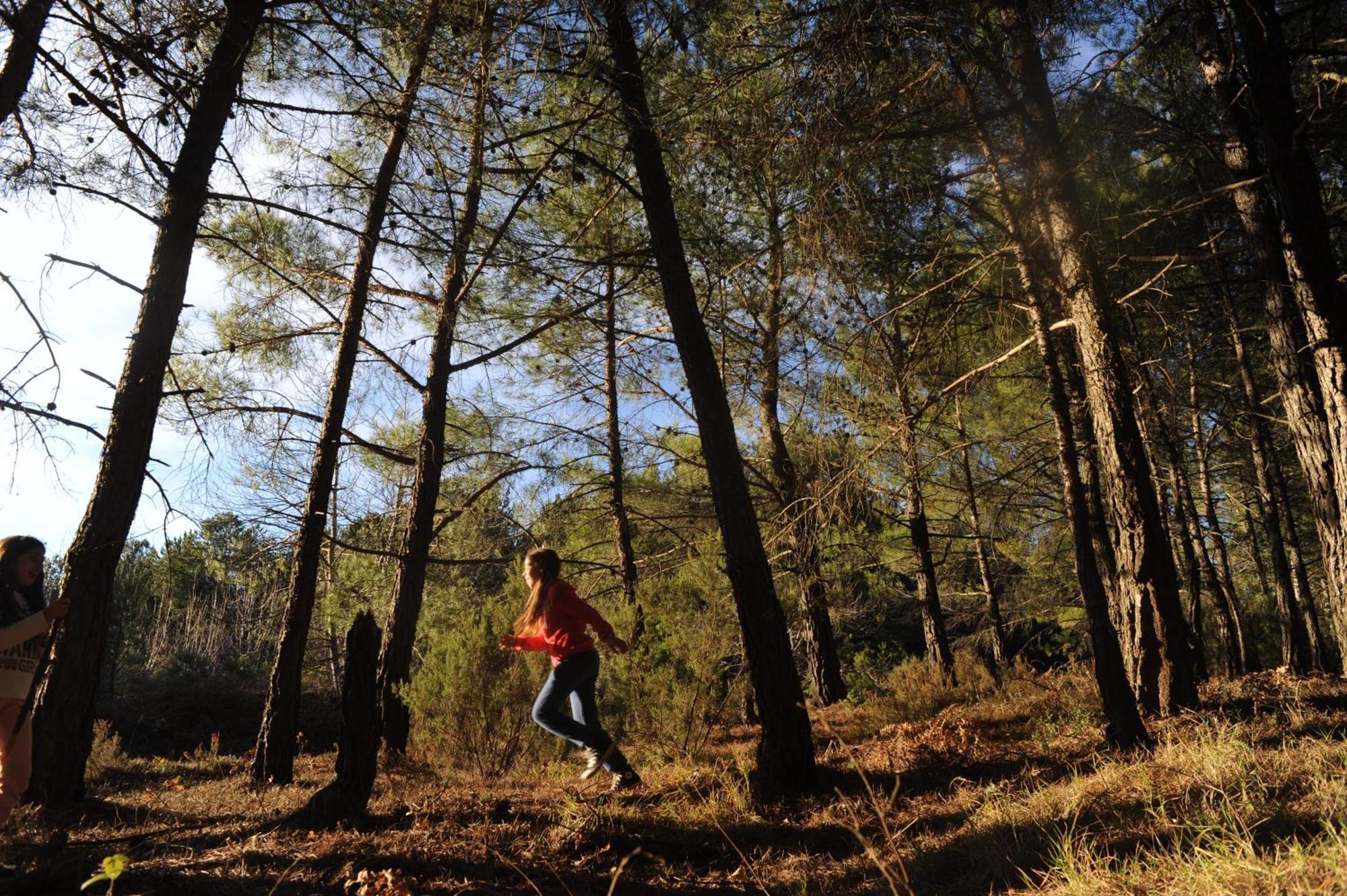 Foresta In Medias Mores Tripoli Ngoại thất bức ảnh