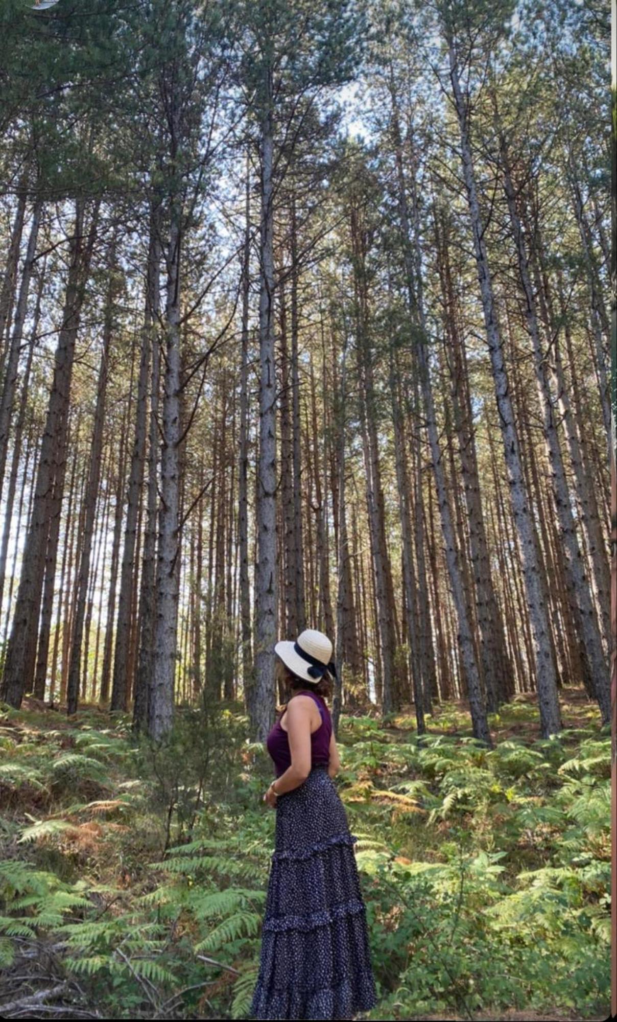 Foresta In Medias Mores Tripoli Ngoại thất bức ảnh